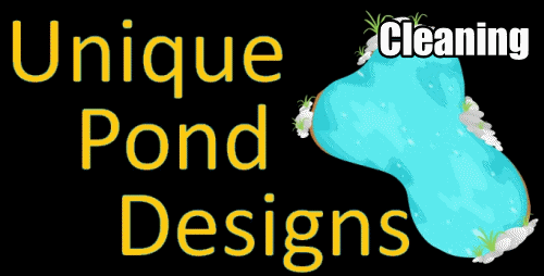 Unique Pond Designs Garden Pond Cleaning